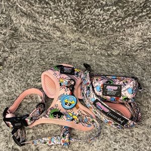 Power Puff Girls Sassy Woof harness set